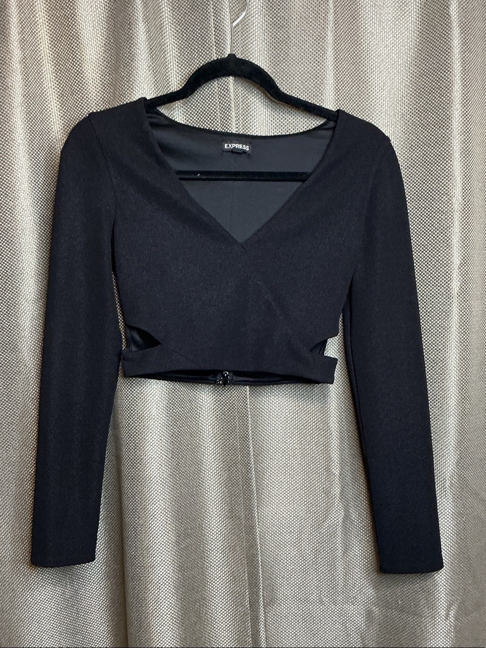 Express Black Long-Sleeve Cropped V-Neck Top
